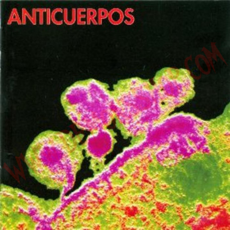 CD Anticuerpos