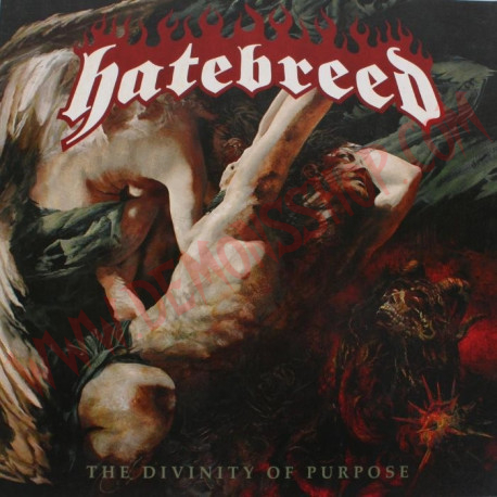 CD Hatebreed - The divinity of purpose