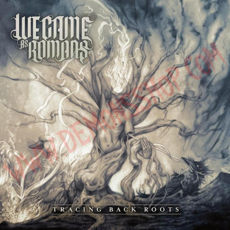 CD We Came as Romans - Tracing back roots