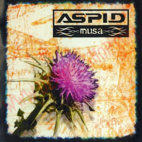CD Aspid - Musa