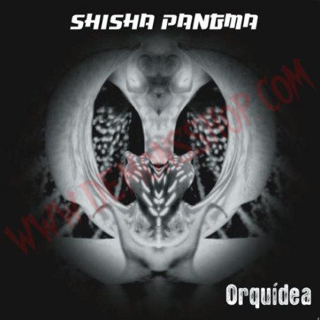CD Shisha Pangma ‎– Orquídea