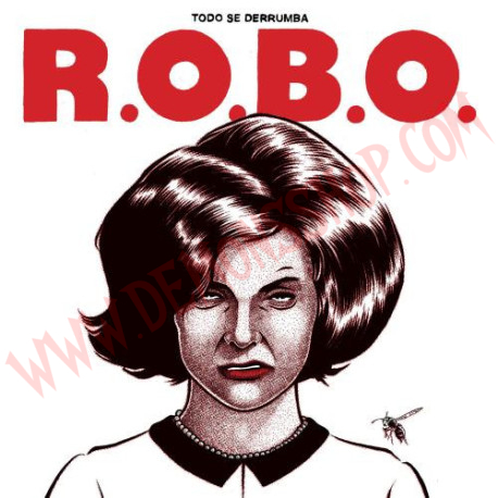 Vinilo LP R.O.B.O. ‎– Todo Se Derrumba
