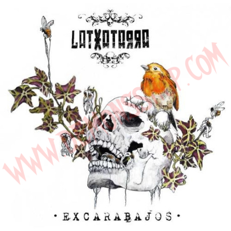CD Latxatarra - Excarabajos