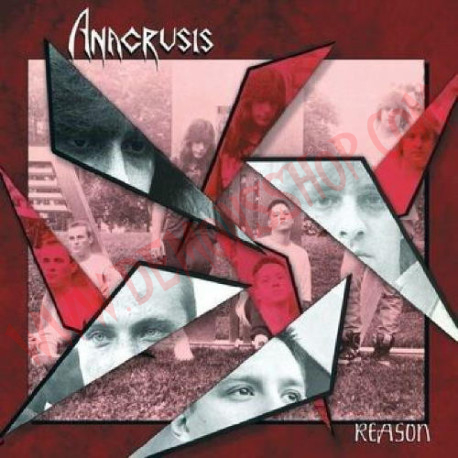 Vinilo LP Anacrusis - Reason