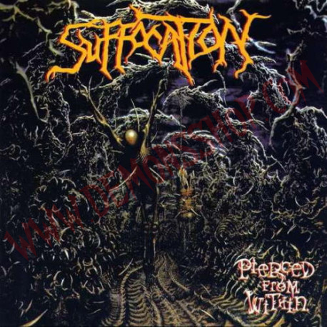 CD Suffocation - Pierced From Within
