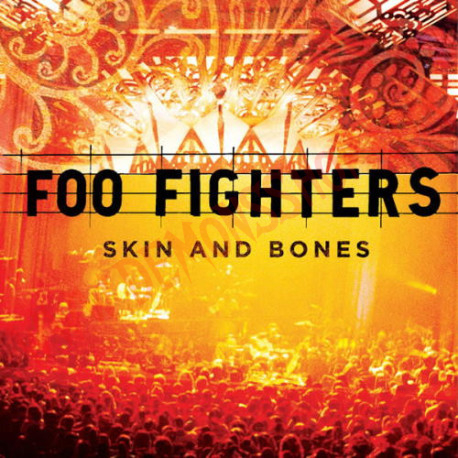 Vinilo LP Foo Fighters ‎– Skin And Bones