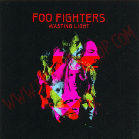 Vinilo LP Foo Fighters ‎– Wasting Light