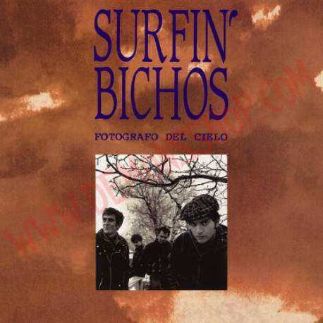 Vinilo LP Surfin' Bichos ‎– Fotógrafo Del Cielo