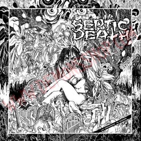 CD Septic Death ‎– Now That I Have The Attention What Do I Do With It?