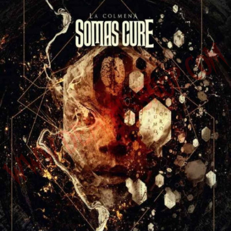CD Somas Cure - La colmena