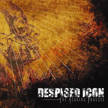 CD Despised Icon - The Healing Process