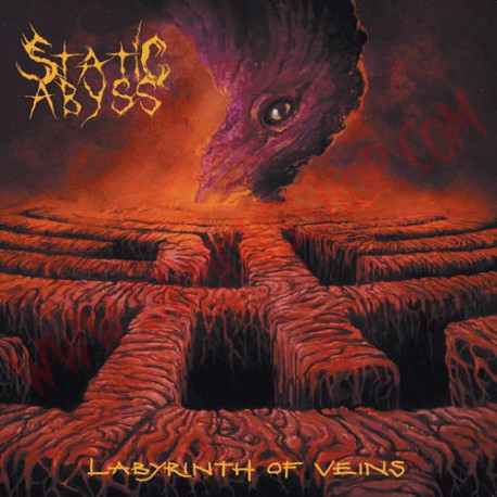 CD Static Abyss – Labyrinth Of Veins