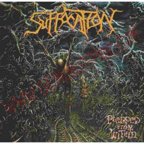 Vinilo LP Suffocation - Pierced From Within