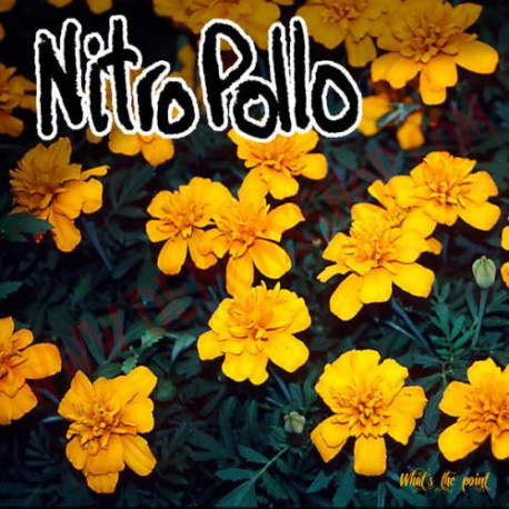 Vinilo LP NitroPollo ‎– What's The Point?