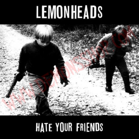 Vinilo LP The Lemonheads – Hate Your Friends