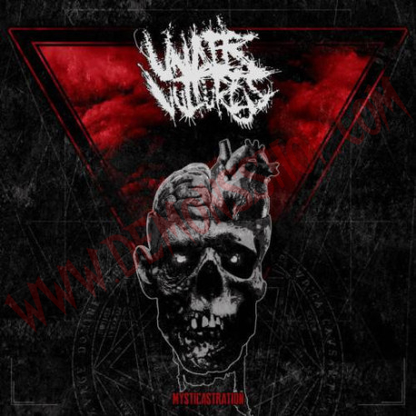 Vinilo LP Under Vultures - Mysticastration