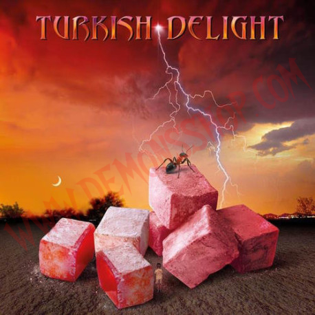 CD Turkish Delight ‎– Volume One