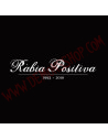 Vinilo LP Rabia Positiva - 1993-2010