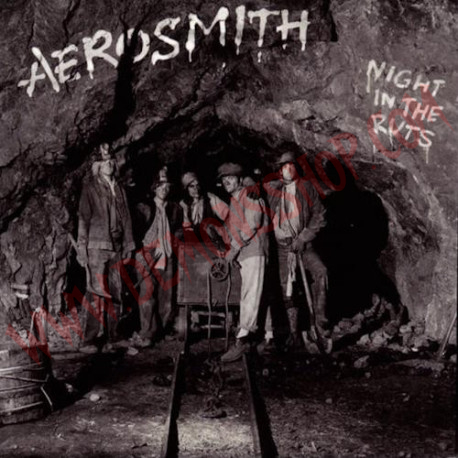 CD Aerosmith ‎– Night In the Ruts