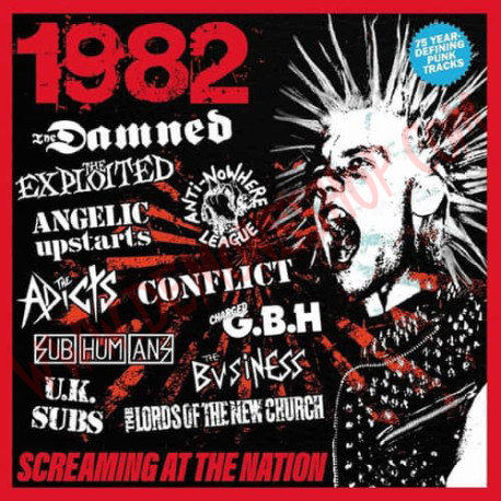 CD 1982 - Screaming At The Nation