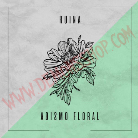 Vinilo Single Ruina - Abismo floral
