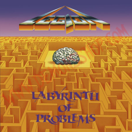 CD Legion - Labyrinth Of Problems